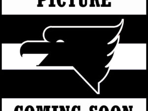 American Mobile Logo - Tejas Hydraulics